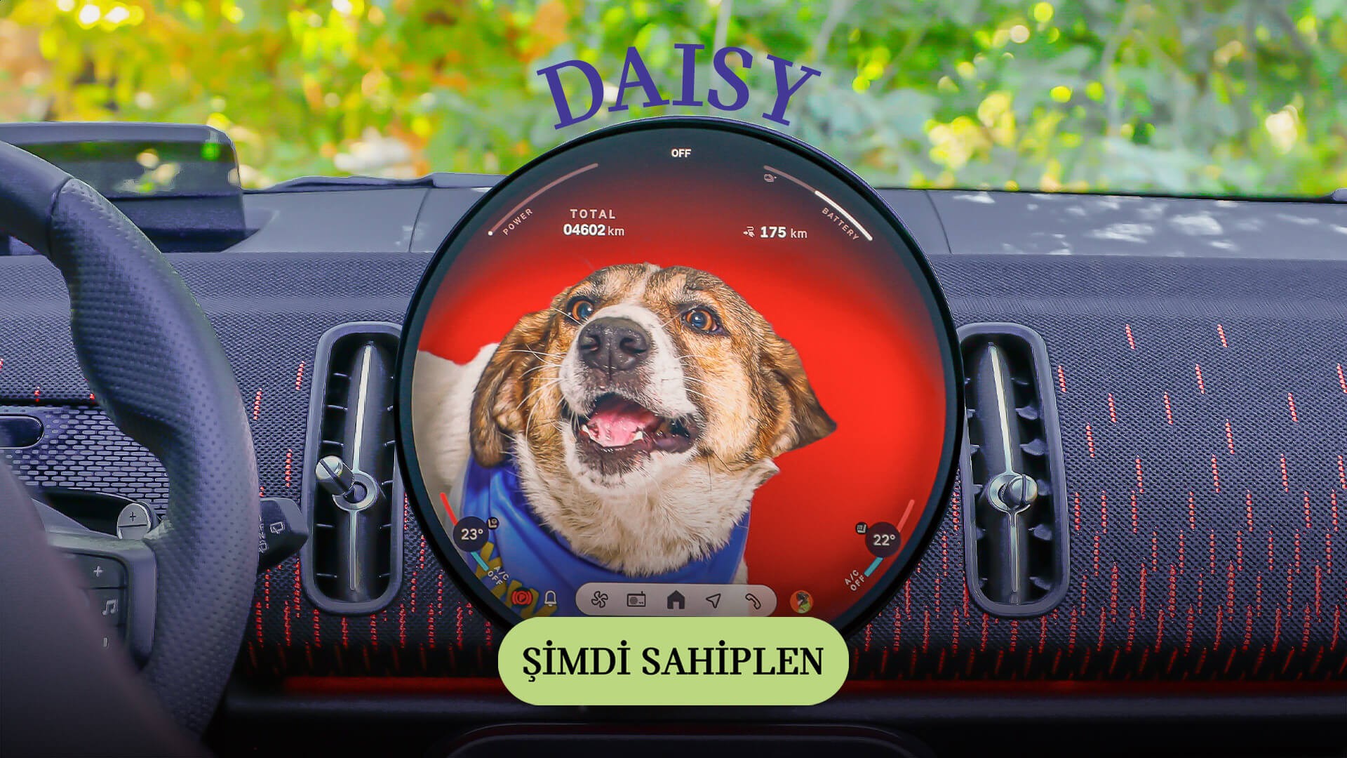 MINI Pati | MINI Türkiye